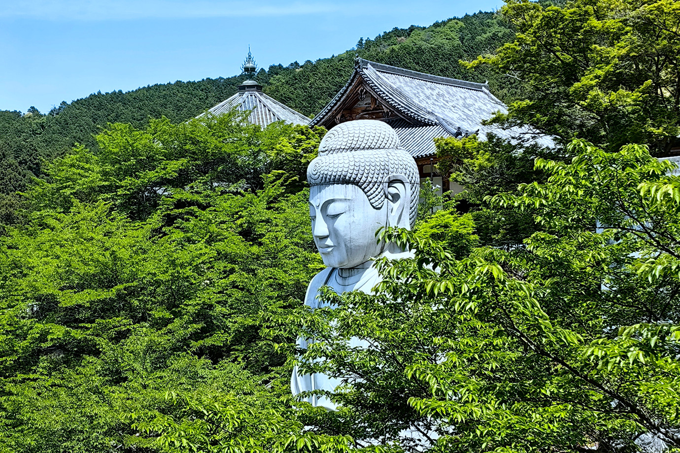 西國三十三所-壺阪山南法華寺